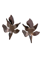 Espresso Floras