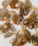 Chestnut Pheasant Feathers