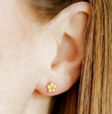 Hibiscus Studs