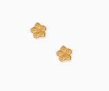 Hibiscus Studs