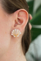 Seashell Studs