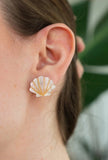Seashell Studs